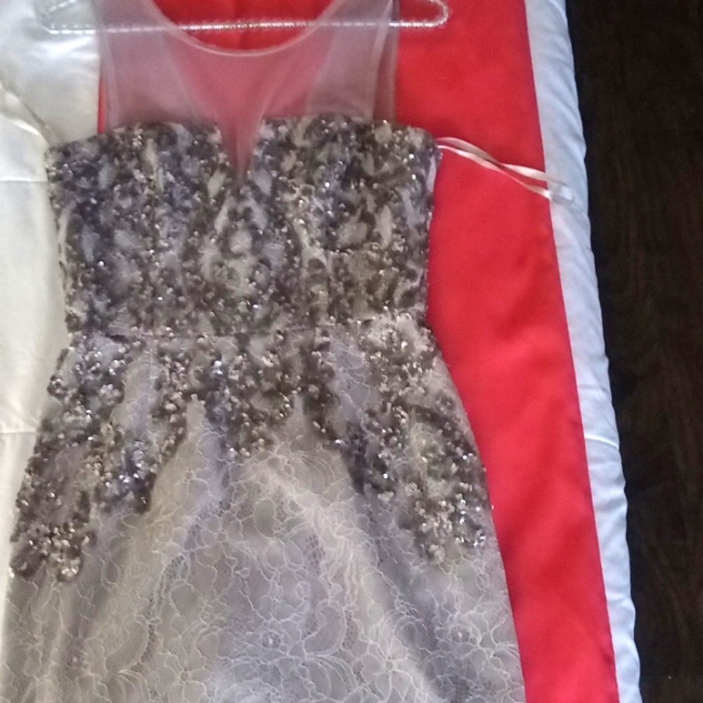 BCBG Maxazria Runway "Abigail" Dress, Size Small